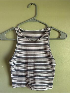 American Eagle Outfitters Navy & White Striped Ribbed Crop Tank